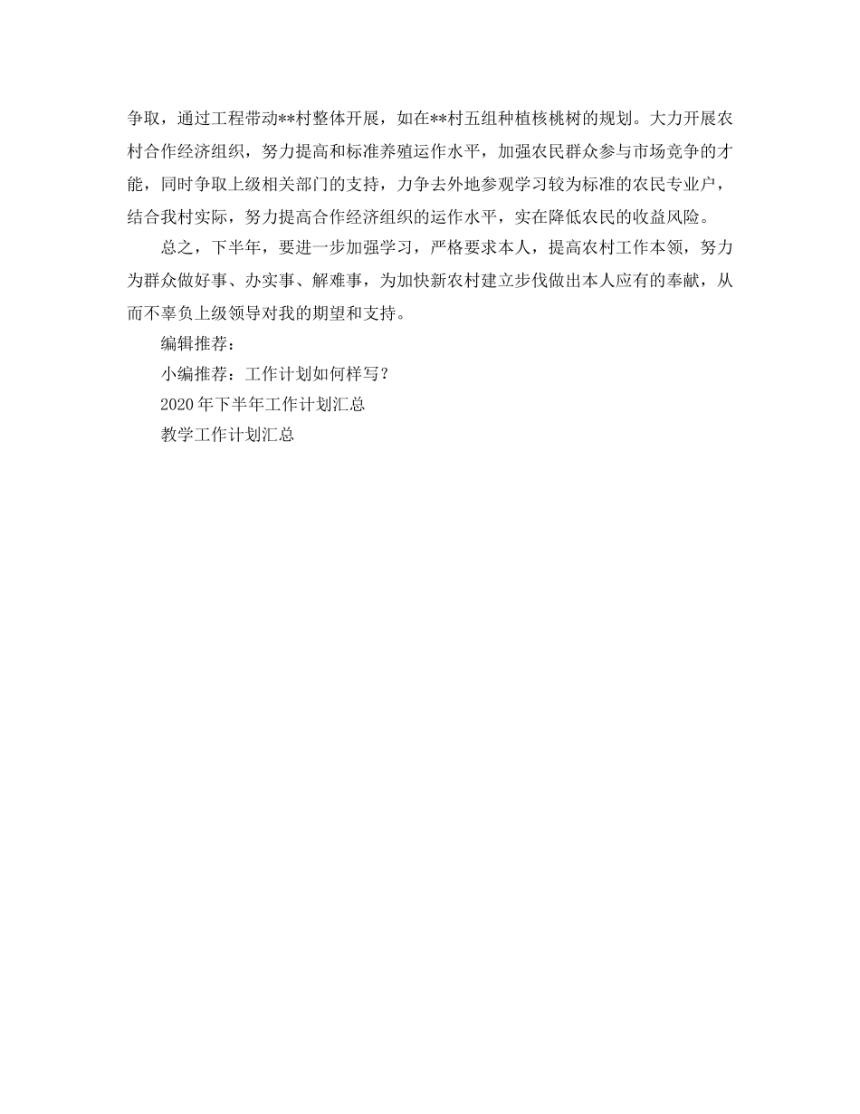村官2020下半年工作参考计划 _第2页