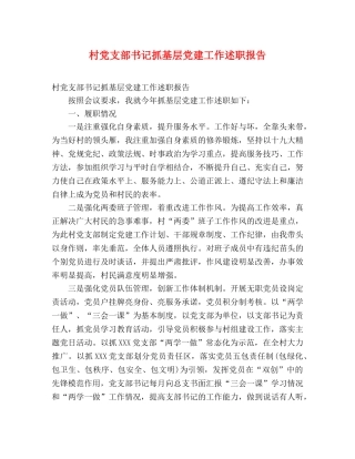 村党支部书记抓基层党建工作述职报告 (000002)