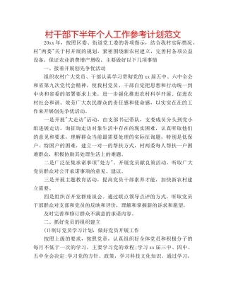 村干部下半年个人工作参考计划范文 