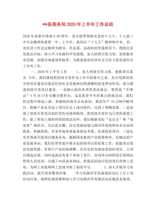 --县商务局2024年上半年工作总结 