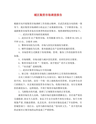 城区集贸市场调查报告 