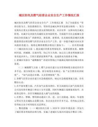 城区防汛及燃气经营企业安全生产工作情况汇报 
