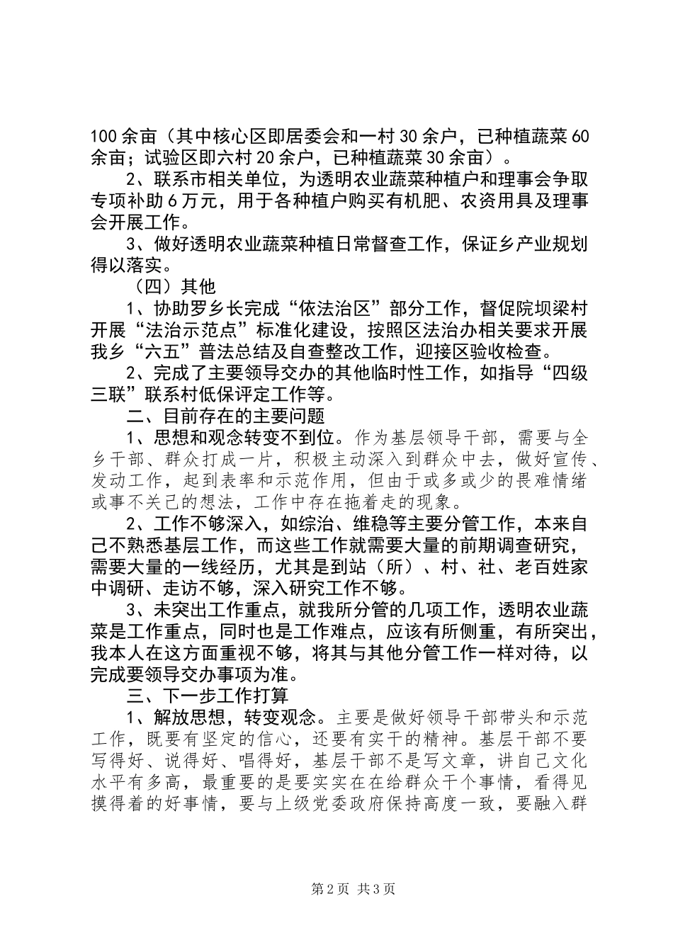 乡党委副书记个人述职报告_第2页