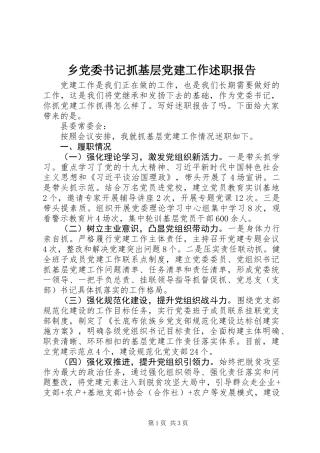 乡党委书记抓基层党建工作述职报告 (2)