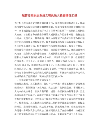 城管行政执法系统文明执法大检查情况汇报 