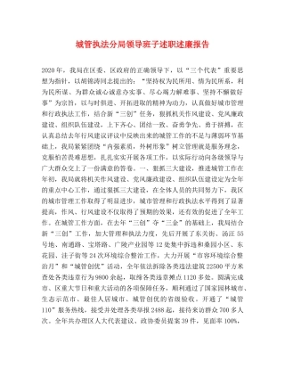 城管执法分局领导班子述职述廉报告 