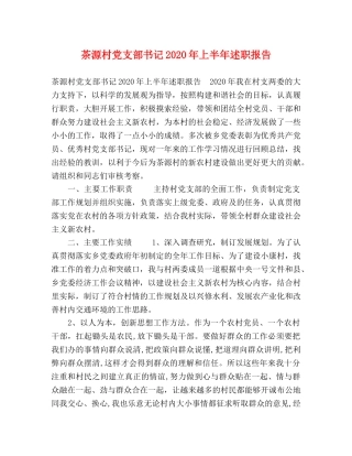 茶源村党支部书记2020年上半年述职报告 