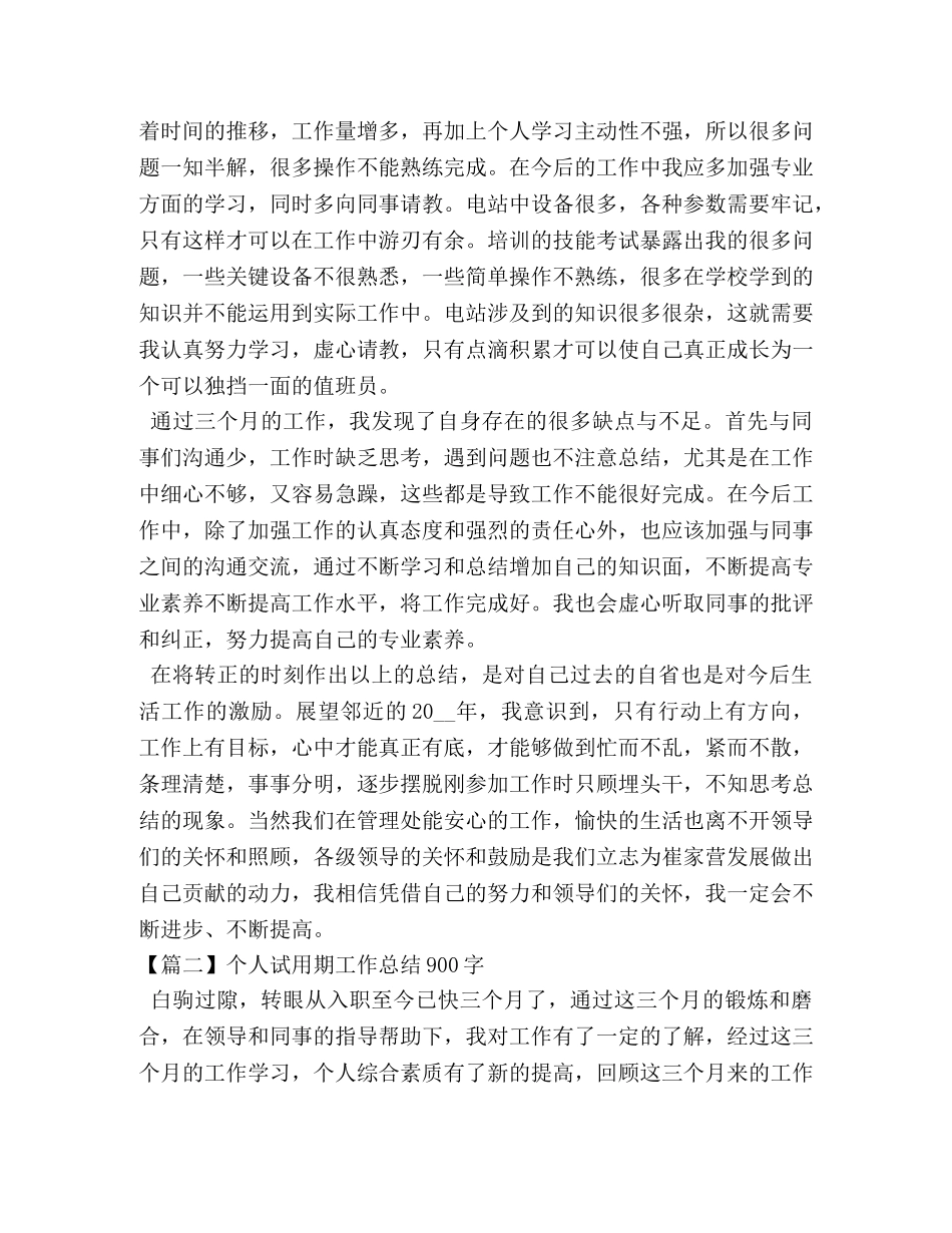 个人试用期工作总结900字 _第2页