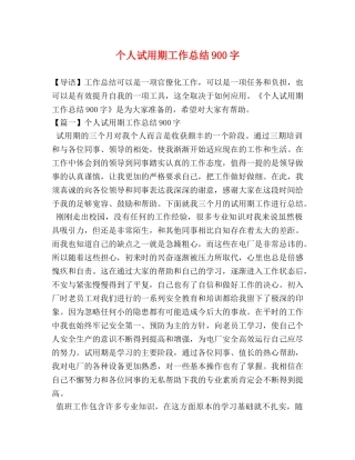 个人试用期工作总结900字 