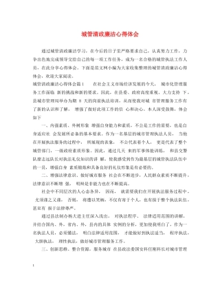城管清政廉洁心得体会 