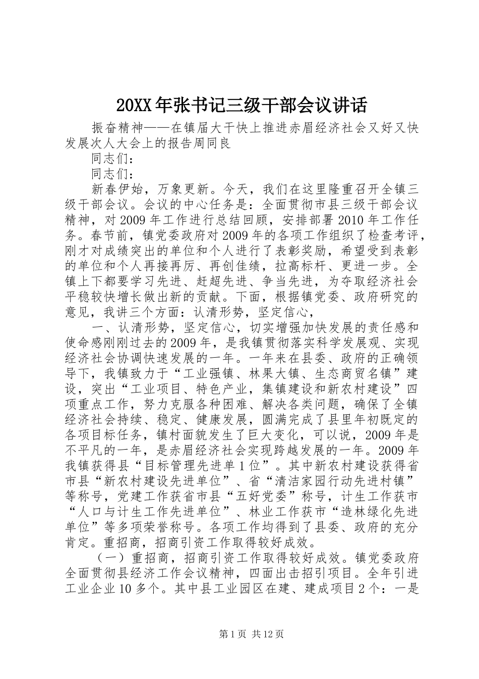 20XX年张书记三级干部会议讲话_第1页