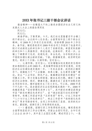 20XX年张书记三级干部会议讲话