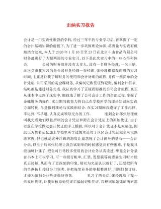 出纳实习报告 