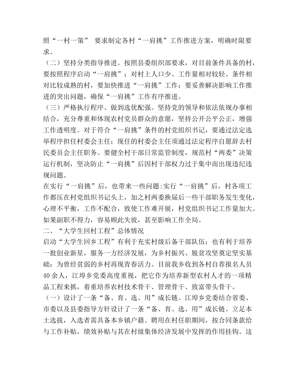 村书记主任“一肩挑”、大学生回村工程、发展壮大村集体经济工作汇报 _第2页