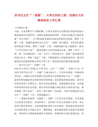 村书记主任“一肩挑”、大学生回村工程、发展壮大村集体经济工作汇报 