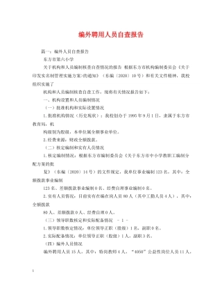 编外聘用人员自查报告 