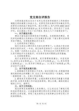 党支部自评报告