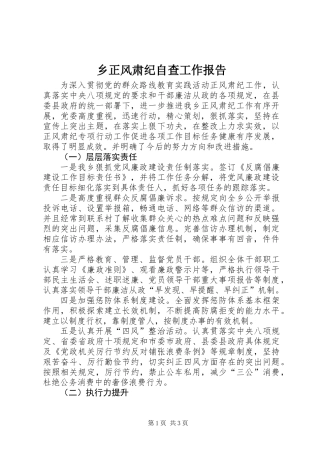 乡正风肃纪自查工作报告