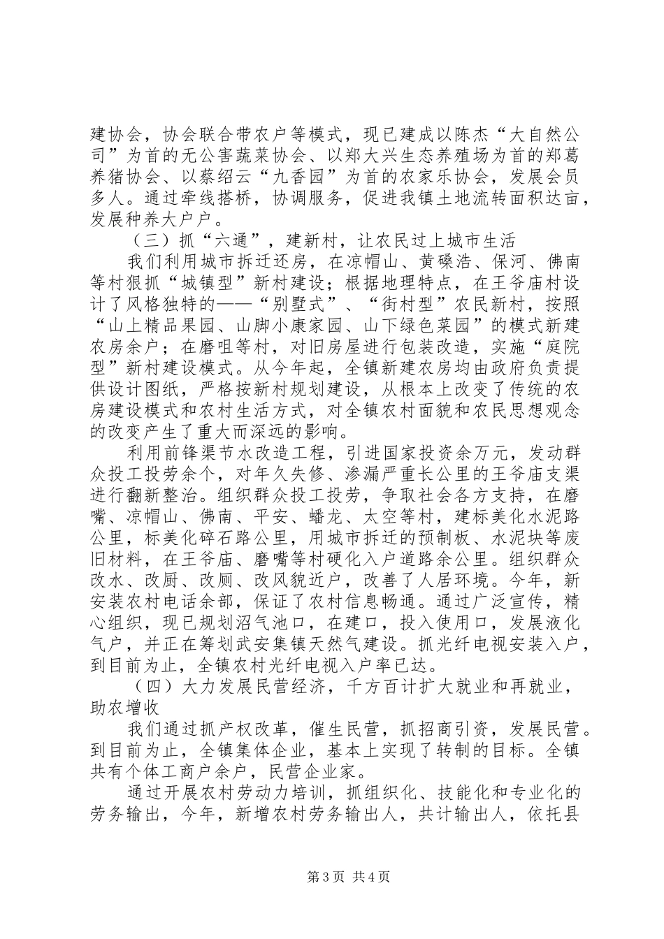 依托城市谋发展打造特色奔小康（镇长的讲话）_第3页