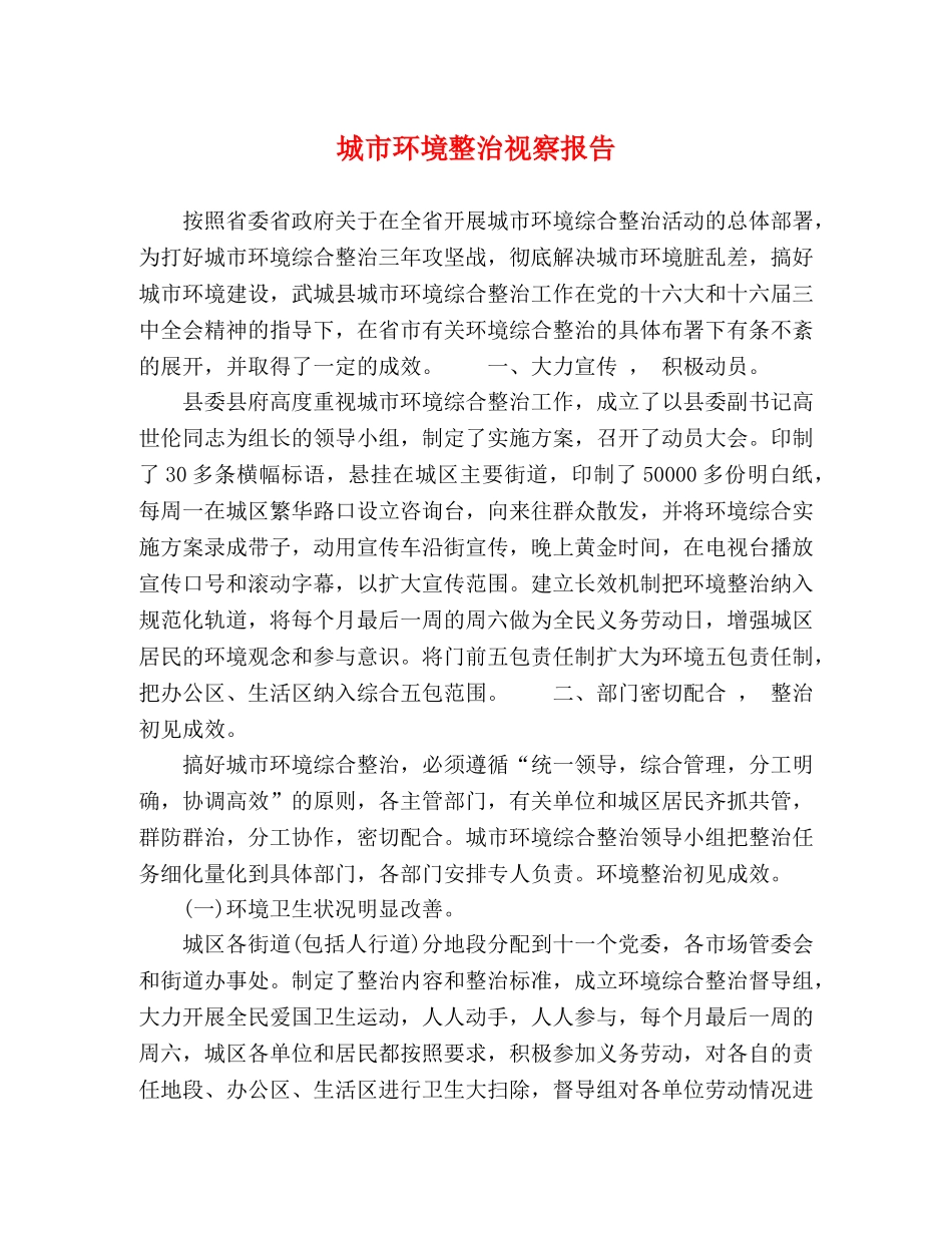 城市环境整治视察报告 _第1页