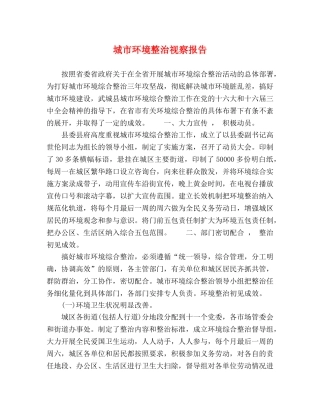城市环境整治视察报告 