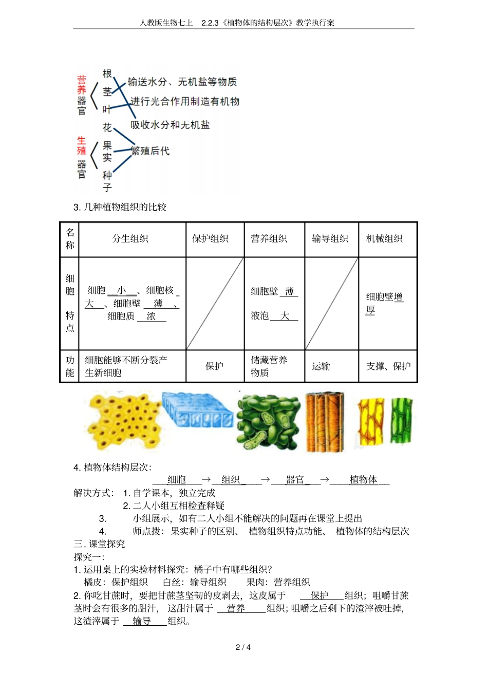 人教版生物七上3植物体的结构层次教学执行案_第2页