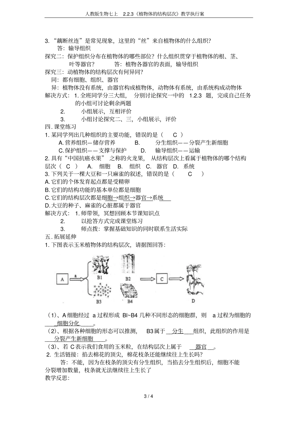人教版生物七上3植物体的结构层次教学执行案_第3页