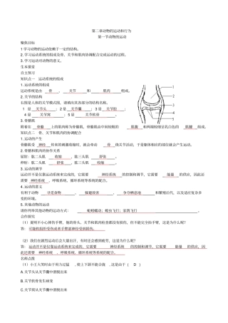 人教版生物八年级上册动物的运动和行为综述