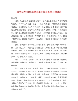 --书记在2020年局半年工作会总结上的讲话 