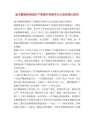 成立整顿和规范矿产资源开发秩序办公室的请示报告 