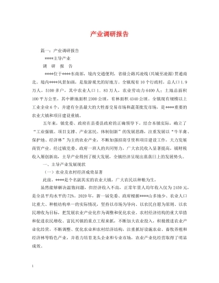产业调研报告 