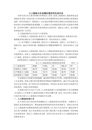 人工湿地处理农村生活污水