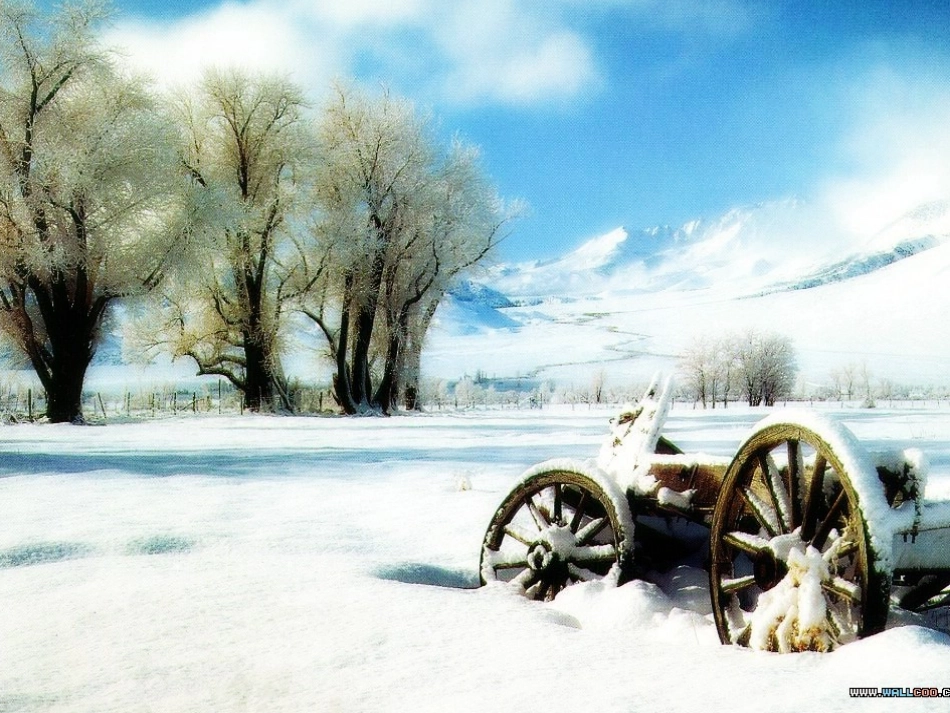 雪地里的小画家教学课件_第2页