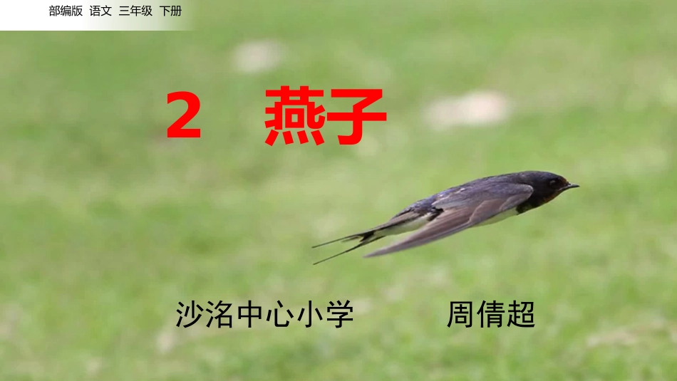 三年级下册语文《燕子》_第1页