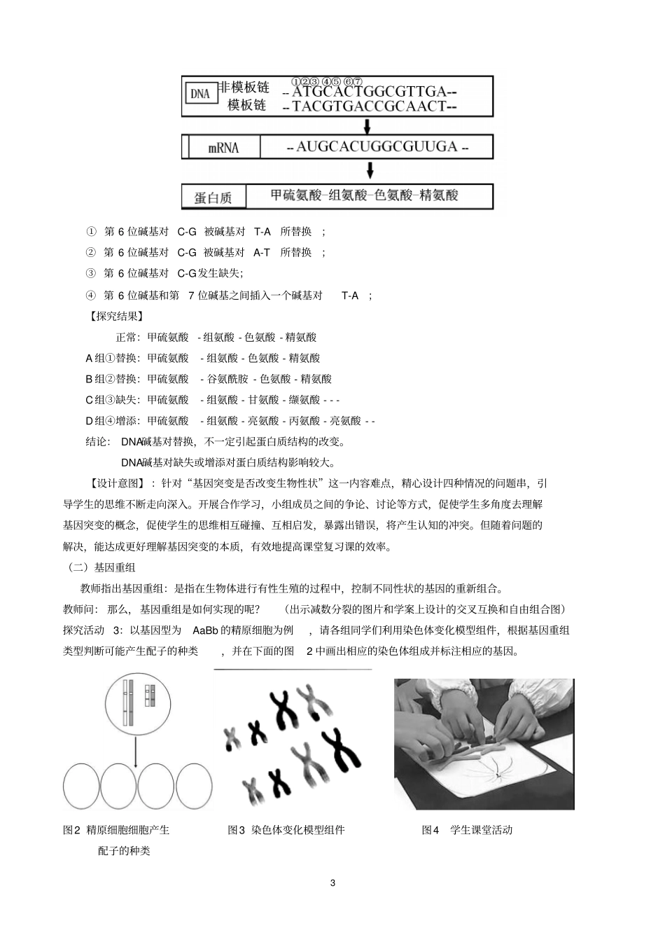 人教版高三生物一轮复习基因突变和基因重组优质教学设计_第3页