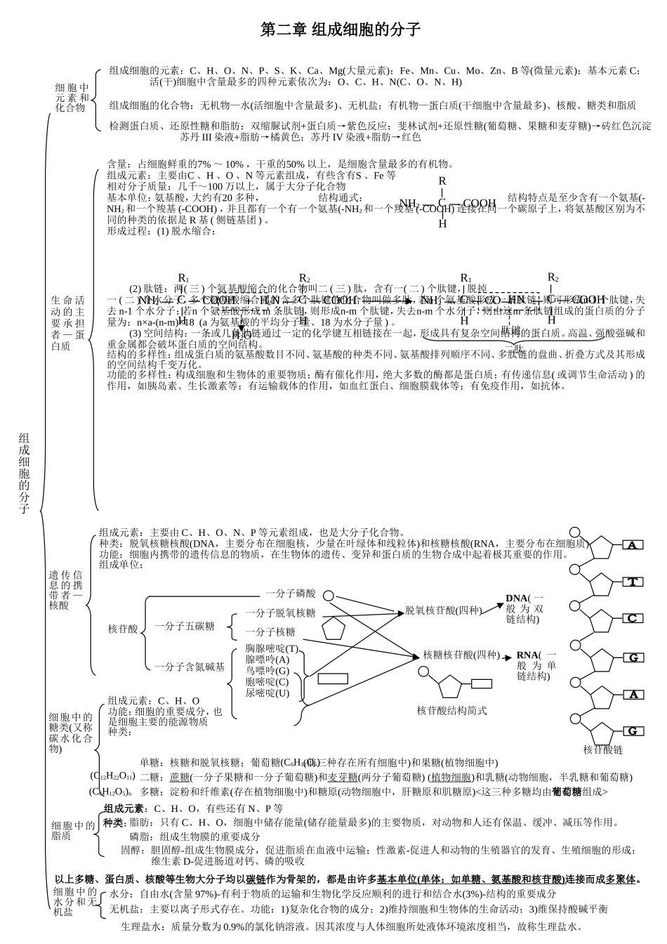 生物必修一提纲1_第2页