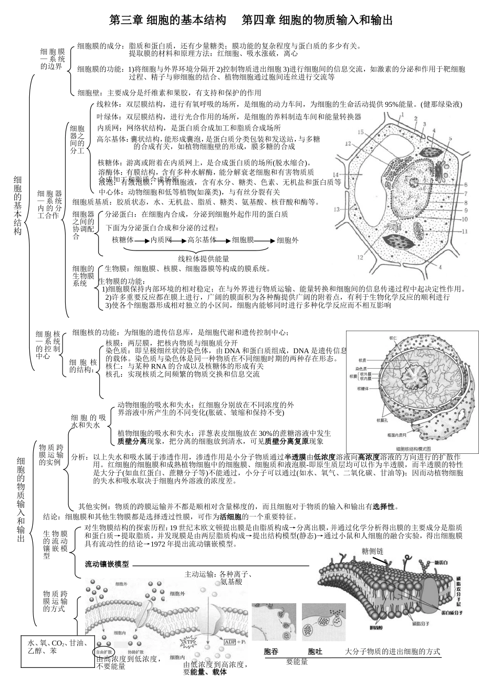 生物必修一提纲1_第3页
