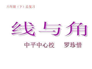 罗珍惜——线与角
