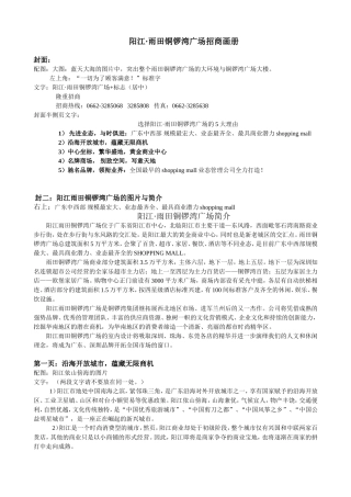 阳江·雨田铜锣湾广场招商画册