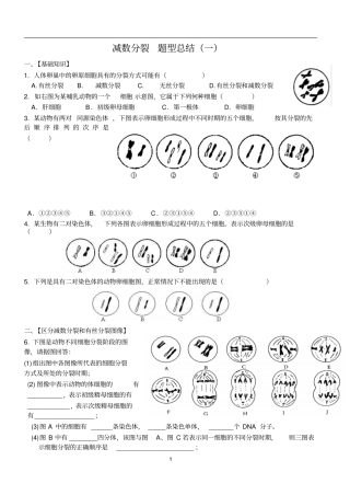 人教版高中生物减数分裂题型总结