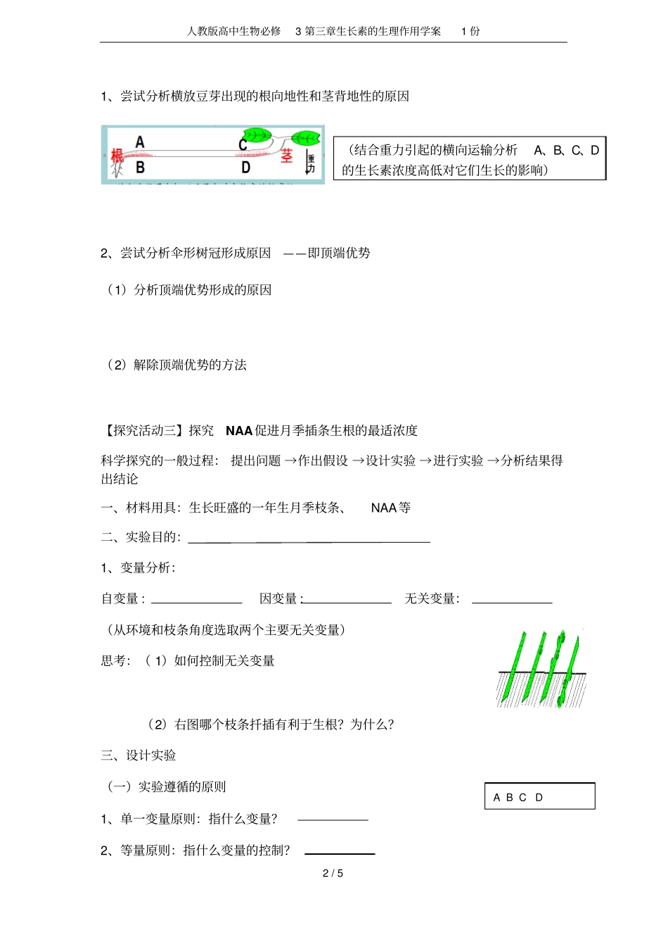 人教版高中生物必修3生长素的生理作用学案1份_第2页