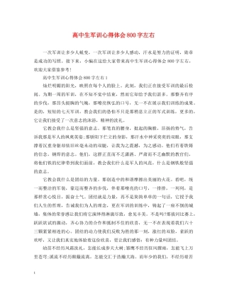 高中生军训心得体会800字左右 (000002)