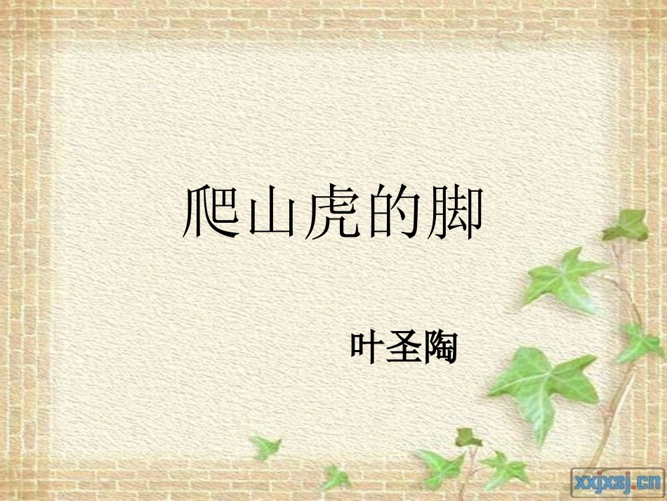 爬山虎的脚课件_第1页