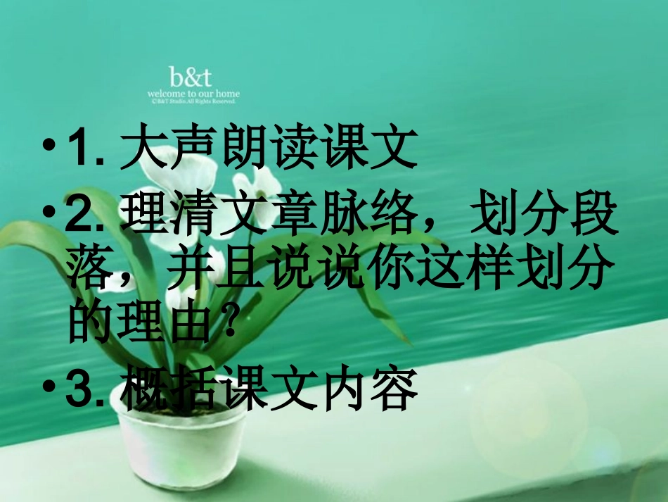 爬山虎的脚课件_第3页