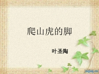 爬山虎的脚课件