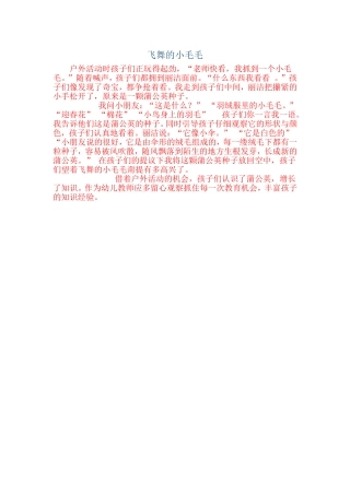 飞舞的小毛毛