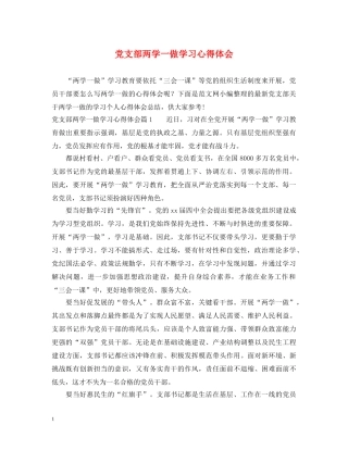 党支部两学一做学习心得体会 