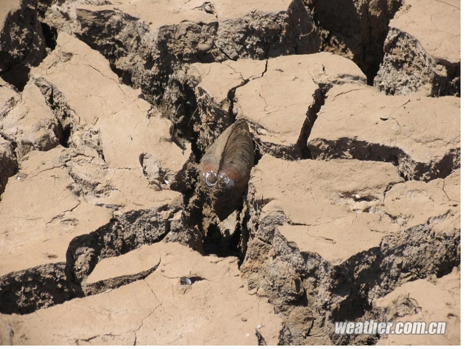 节约用水用电措施_第3页