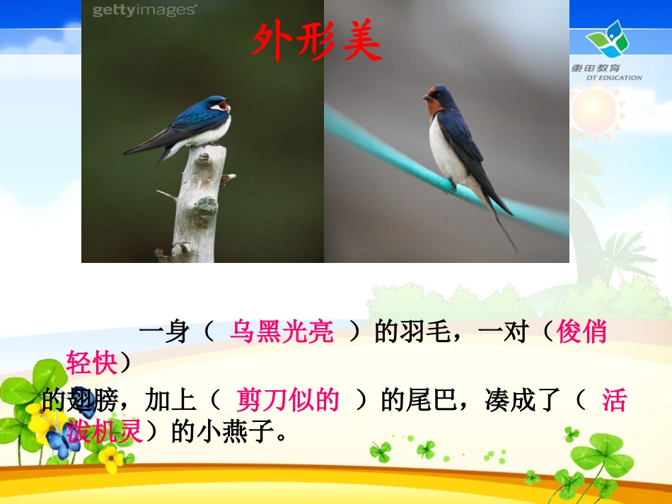 燕子第二课时课件_第3页