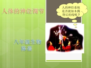 陈蓓八年级生物上册（161）课件